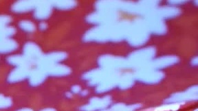 最近的截图 exclusivepandora