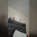 extraharx928's Profile Picture