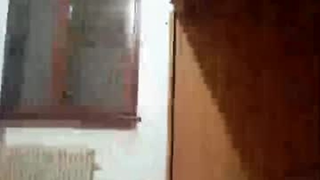 fafafalp