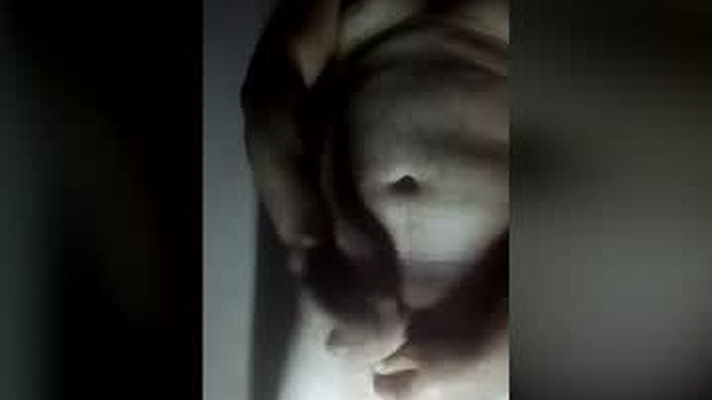 fansdemianmexico