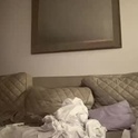 faraonxz's Profile Picture
