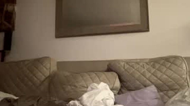 faraonxz