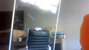 Recent Screenshot of  farmhouse451