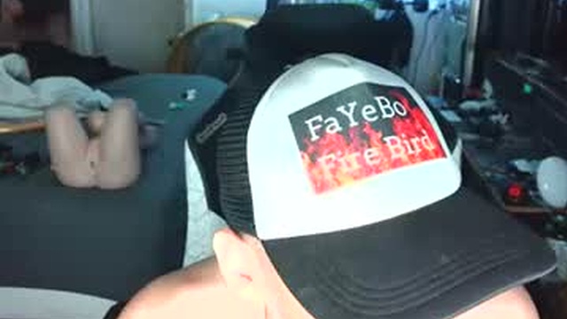 fayebo234