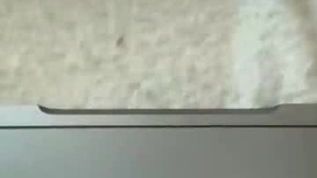 Recent Screenshot of  feefifobum