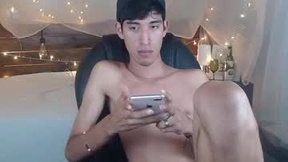 Recent Screenshot of  ferphoenix_