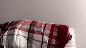 Recent Screenshot of  festival2001