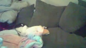 Recent Screenshot of  fireandice0101