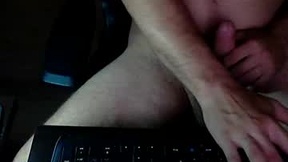 Recent Screenshot of  firebird_1983