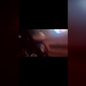 fit_fuckers's Profile Picture