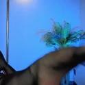 flexellina's Profile Picture