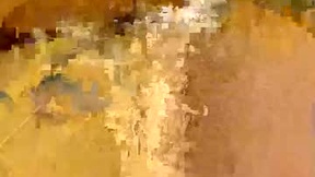 Recent Screenshot of  flexngudlit