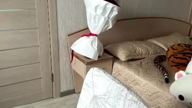 floycostenive