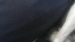 Recent Screenshot of  frakelvin