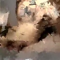 fuckleberries's Profile Picture