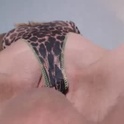 fuckmesweetass's Profile Picture