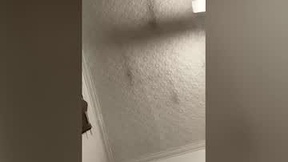 Recent Screenshot of  funaussieguy80