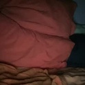 funpussypleaser's Profile Picture