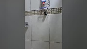 Recent Screenshot of  fuska_br