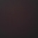 g1231203's Profile Picture