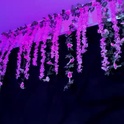 gabyy_cooper's Profile Picture