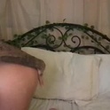 gardenmusexo's Profile Picture