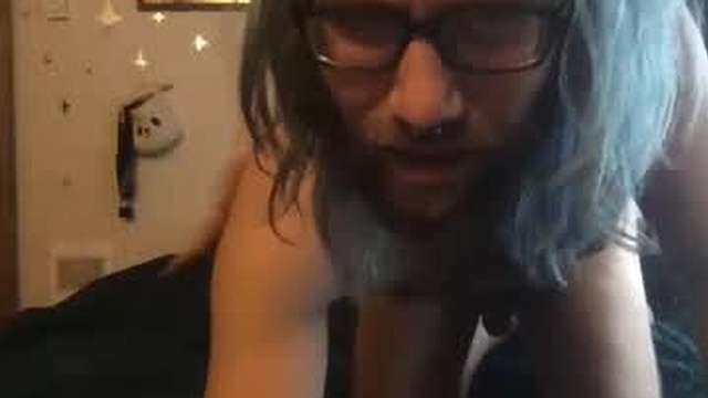 gattorcatnb