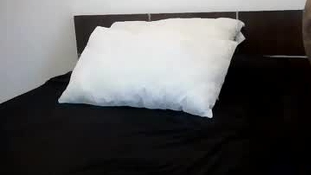 gatuvelasexy