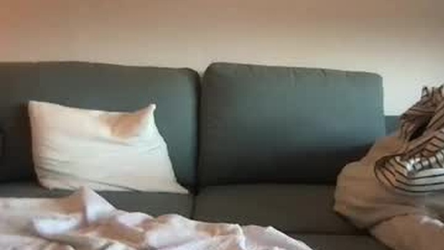 geissini