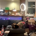 gemmakitten's Profile Picture