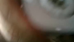 Recent Screenshot of  gene104763