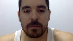 Recent Screenshot of  genesis_wb