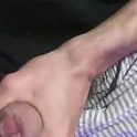 genialturtle's Profile Picture