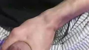 Recent Screenshot of  genialturtle
