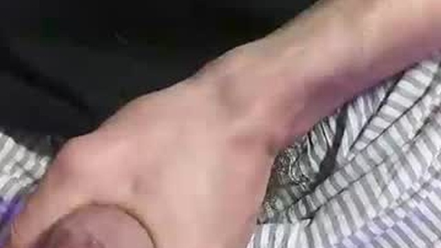 genialturtle