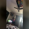 gh0stlygoddess420's Profile Picture