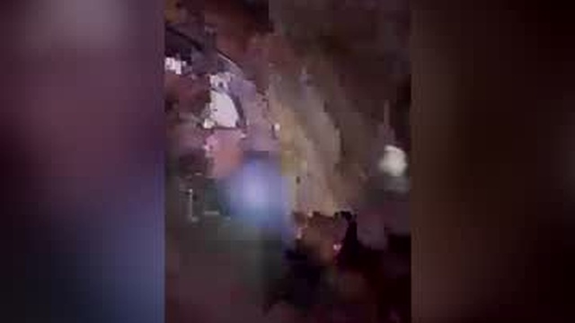 ghsilvera