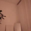 gia_curly's Profile Picture