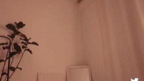 Recente schermafbeelding van gia_curly