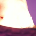 giainked's Profile Picture