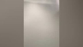 Recent Screenshot of  ginnysaxer11