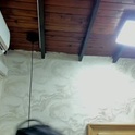 giorgia_13's Profile Picture