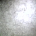 giulio906's Profile Picture