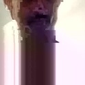 gmcarguy's Profile Picture