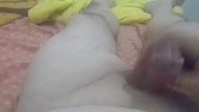 Recent Screenshot of  gobnet