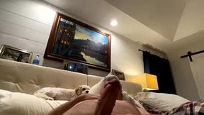 Recent Screenshot of  gocort