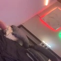 goosefukedneck's Profile Picture