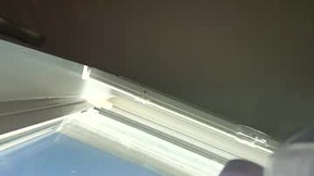 Recent Screenshot of  goosetrucker982440