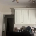 gr33nvap's Profile Picture