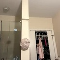 greeneyedmilly's Profile Picture